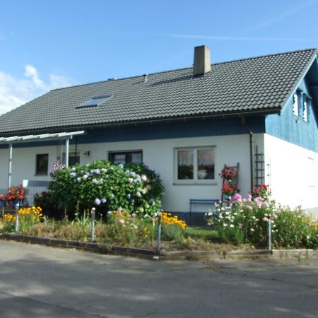 Ferienwohnung Haus Edeltraud Im Suedschwarzwald, Grosse, Helle, Ruhige Souterrain-Whg, Hunde Geeignet, Mit 2 Fahrraedern, 3 Baeckereien Mit Fruehstueck, 2 Lebensmittel-, 1 Italien-Pastalaeden, Kontakt Peter Heubueschl Aus Loerrach Rheinfelden  Bagian luar foto